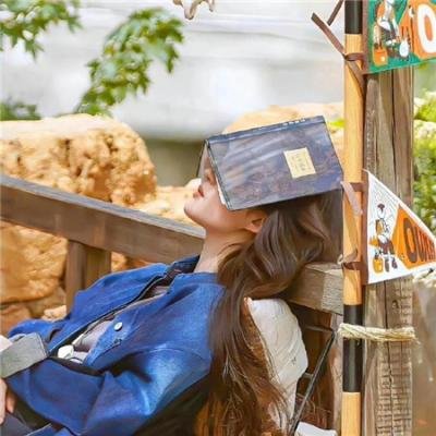 偷懒的猫 在线观看封面